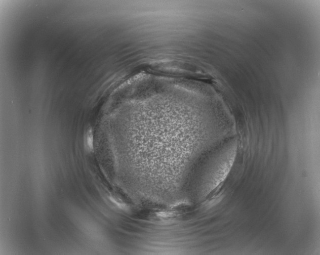 X0000060790095200512011717