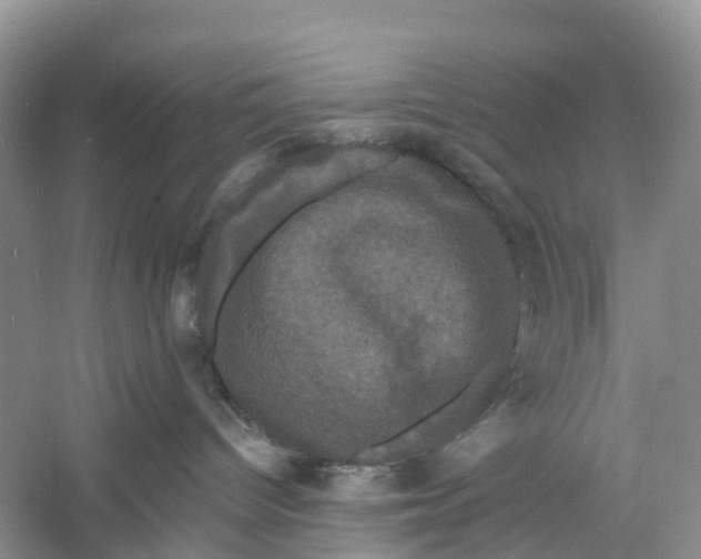 X0000060790096200512011717