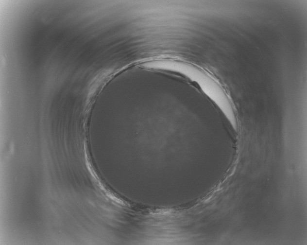 X0000060790097200512011717