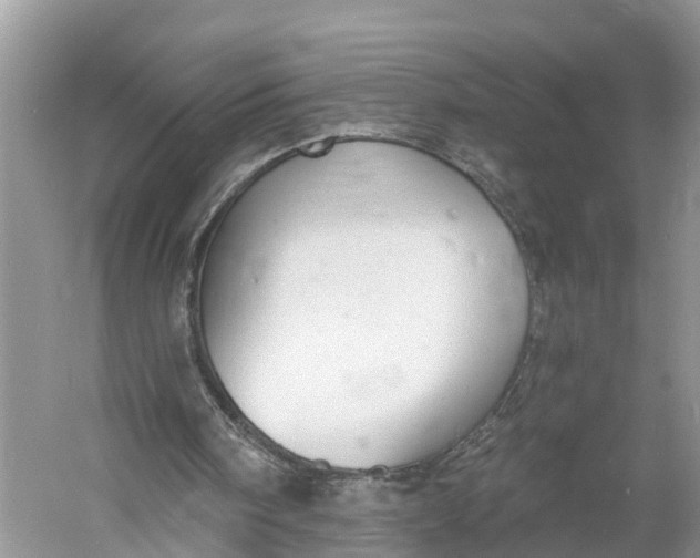 X0000060790098200512011717