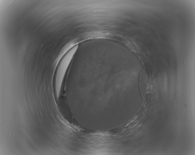 X0000060790099200512011717