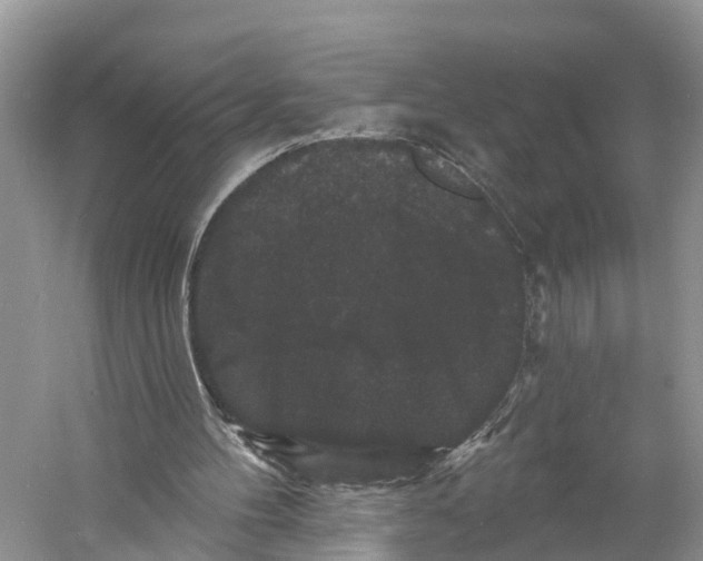 X0000060790100200512011717