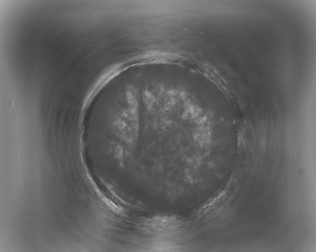 X0000060790101200512011717