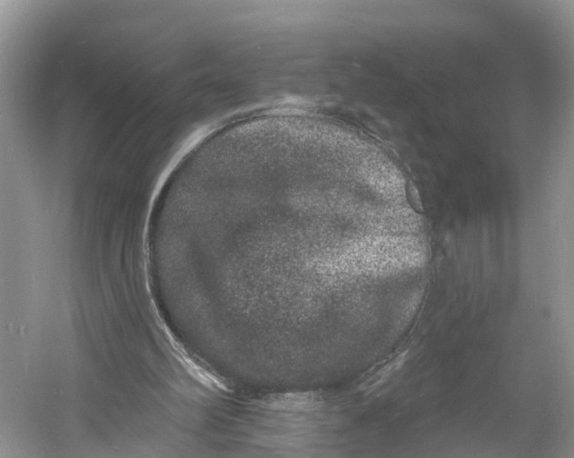 X0000060790102200512011717