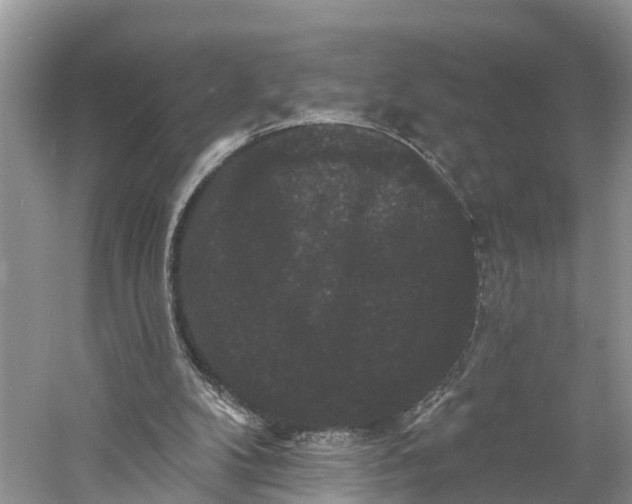 X0000060790104200512011717