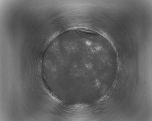 X0000060790105200512011717