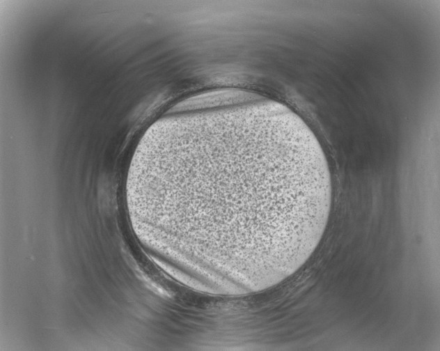 X0000060790106200512011716