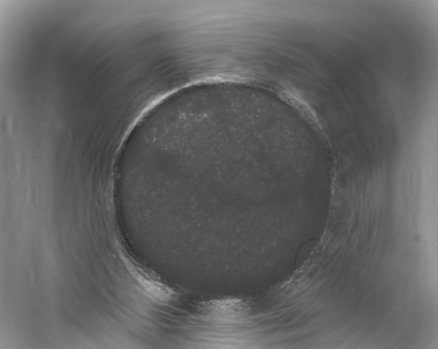 X0000060790108200512011716