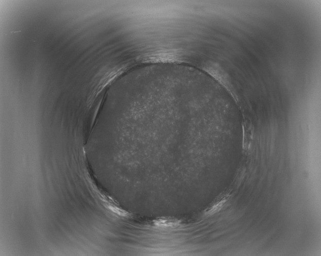 X0000060790109200512011716