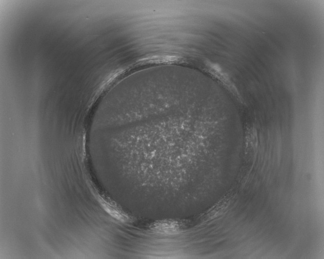 X0000060790110200512011716