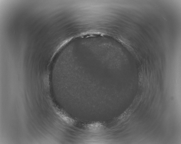 X0000060790112200512011716