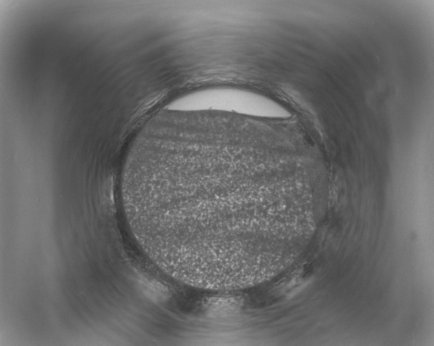 X0000060790115200512011716