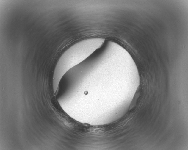 X0000060790117200512011716