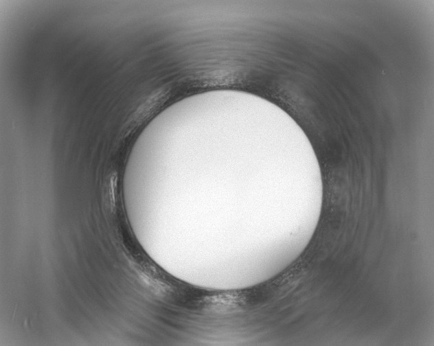 X0000060790118200512011716