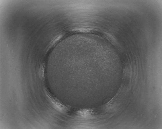 X0000060790120200512011716