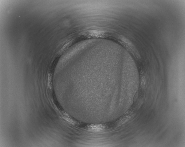 X0000060790121200512011716