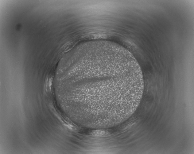 X0000060790123200512011716