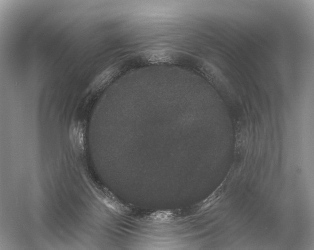 X0000060790124200512011716