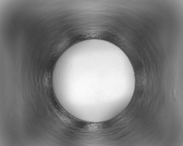 X0000060790126200512011716