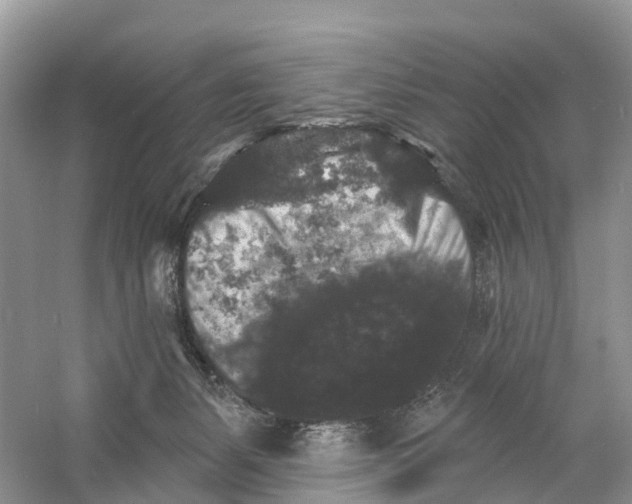 X0000060790127200512011716