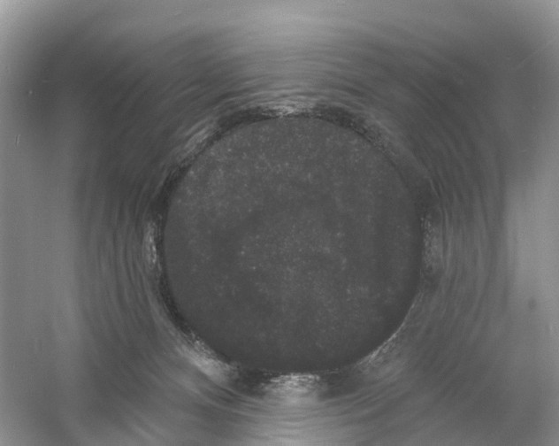 X0000060790128200512011716