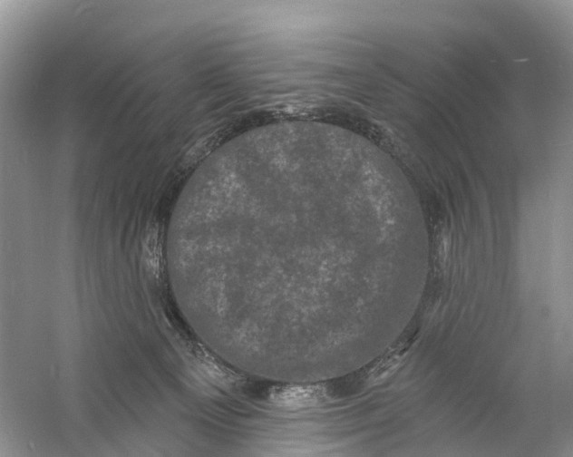 X0000060790129200512011716