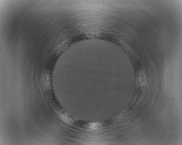 X0000060790130200512011716