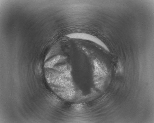 X0000060790131200512011716