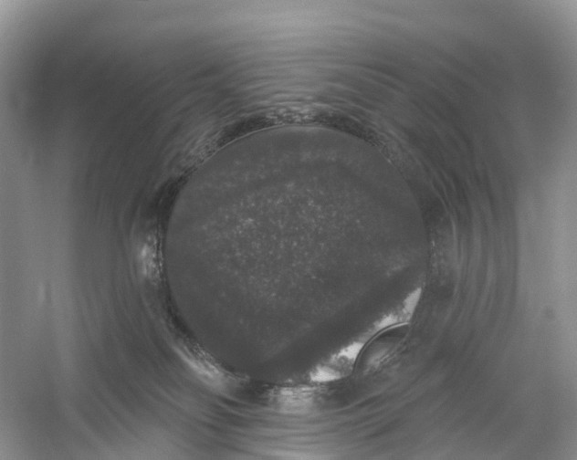 X0000060790134200512011716