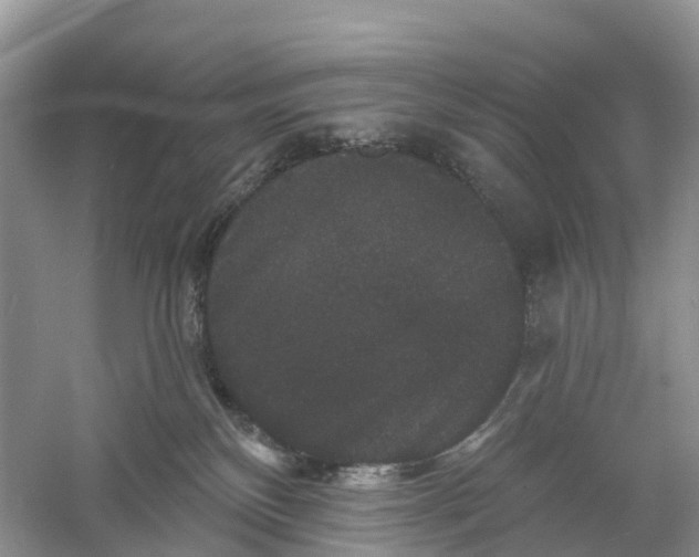 X0000060790136200512011716