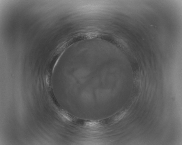 X0000060790139200512011716