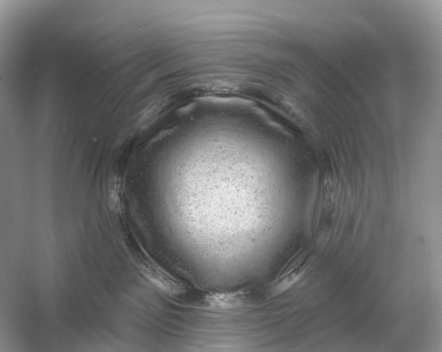 X0000060790141200512011716