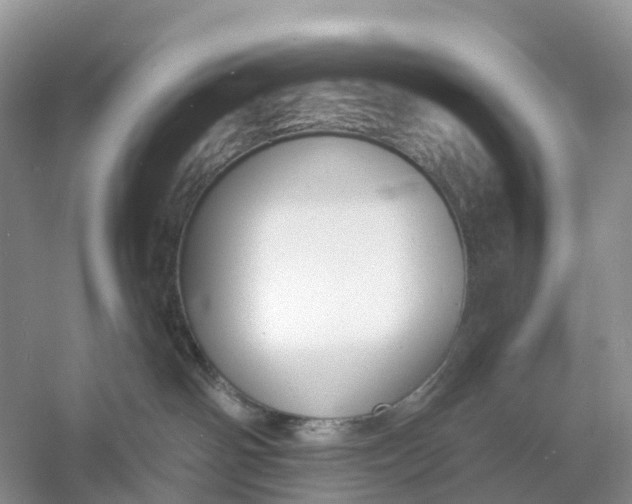 X0000060790142200512011716