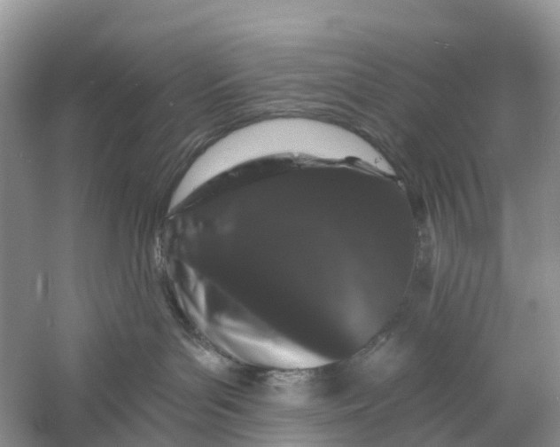 X0000060790143200512011716