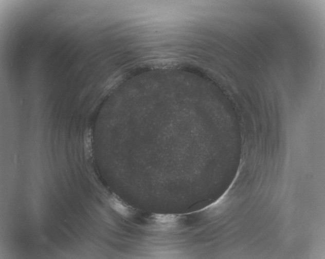 X0000060790144200512011716