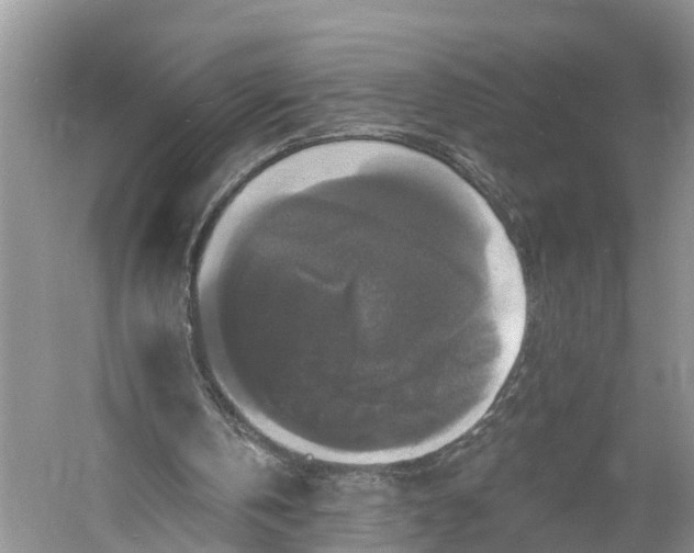 X0000060790146200512011715