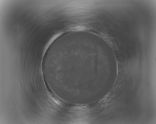 X0000060790147200512011715