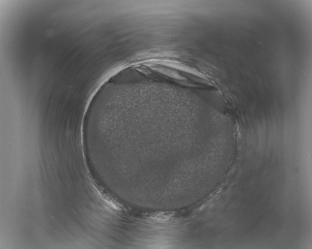 X0000060790148200512011715