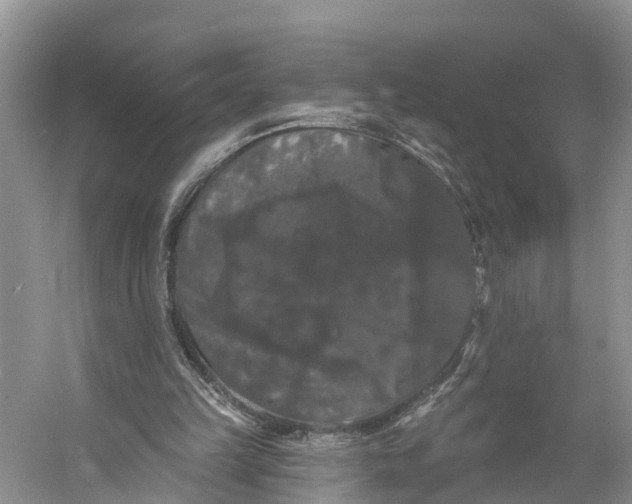 X0000060790149200512011715