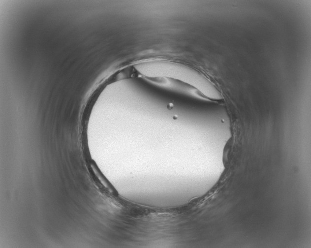 X0000060790150200512011715