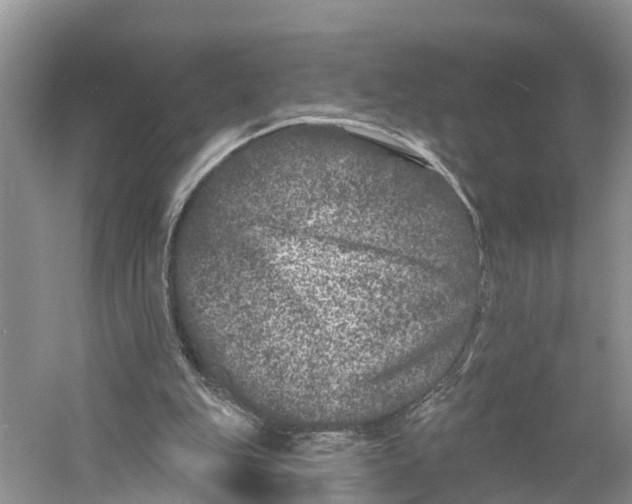 X0000060790151200512011715