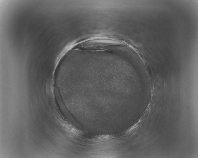 X0000060790152200512011715