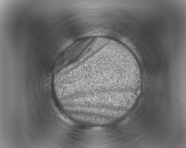 X0000060790153200512011715