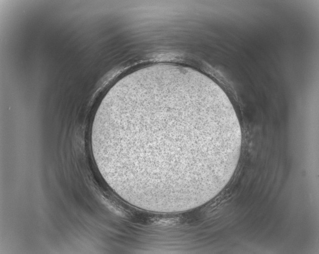 X0000060790155200512011715