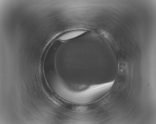 X0000060790156200512011715