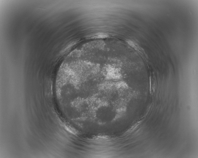 X0000060790157200512011715