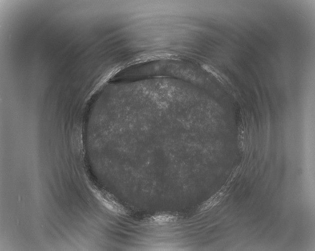 X0000060790158200512011715