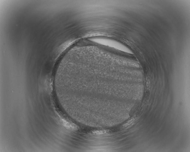 X0000060790160200512011715