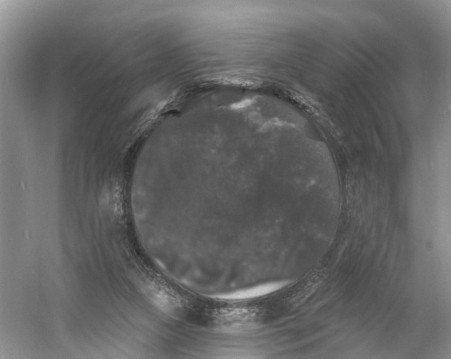 X0000060790161200512011715