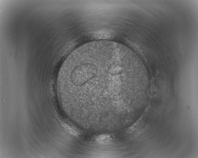 X0000060790162200512011715